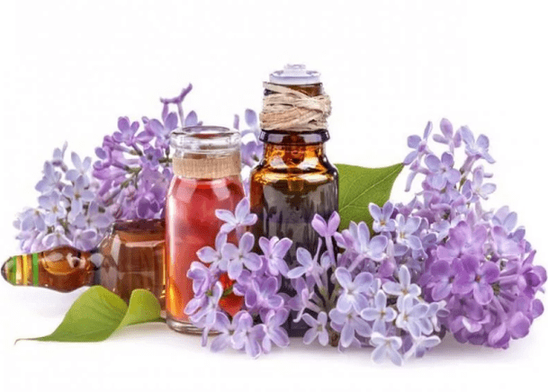 The infusion of purple